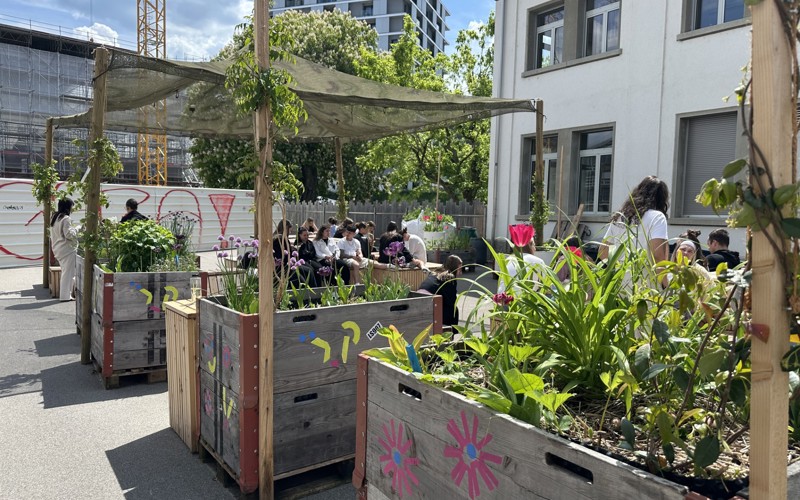 Jardin Mozaik 15.05.25 Quentin Pascalino1 (2)