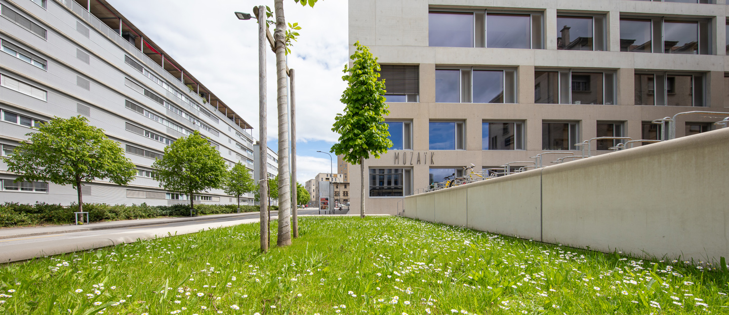 Stemutz Photo Hets Mozaik Exterieur 2400Px 4O3A5909